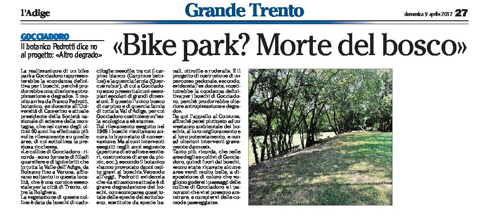 Trento, Gocciadoro: Pedrotti dice no al progetto. Bike park? Morte del bosco.