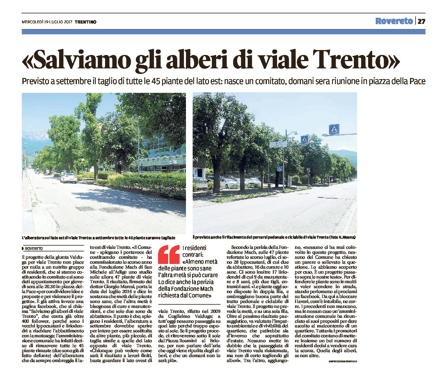 Rovereto: “salviamo gli alberi di viale Trento”. A settembre il taglio delle 45 piante del lato est