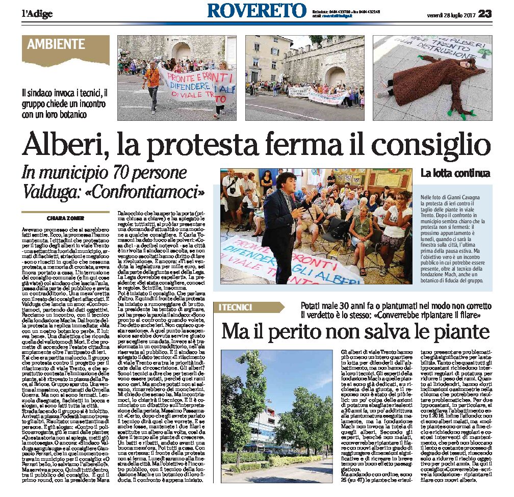 Rovereto, viale Trento: alberi, la protesta contro l’abbattimento ferma il consiglio