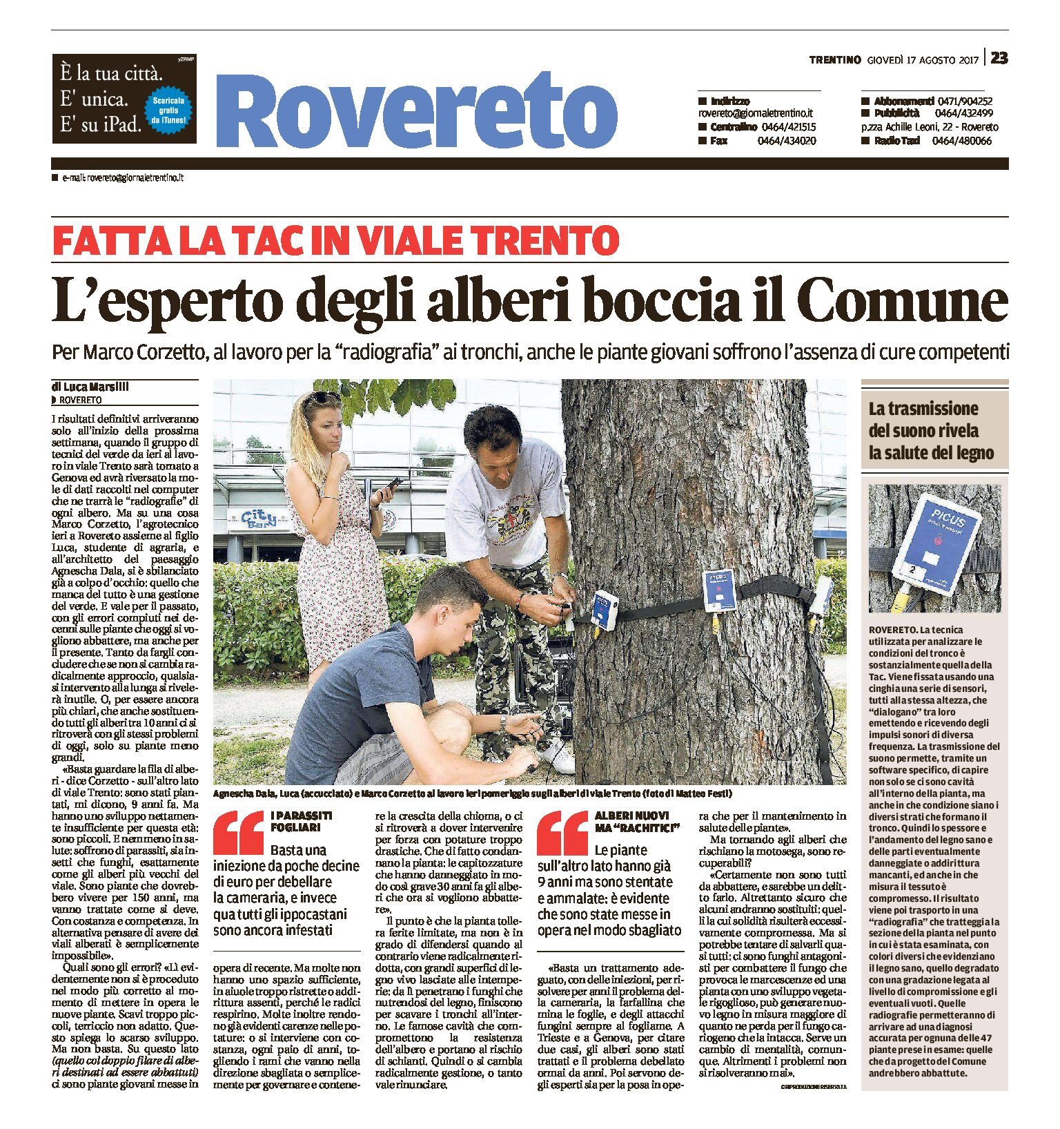 Rovereto, viale Trento: l’esperto degli alberi boccia il Comune. Fatta la Tac