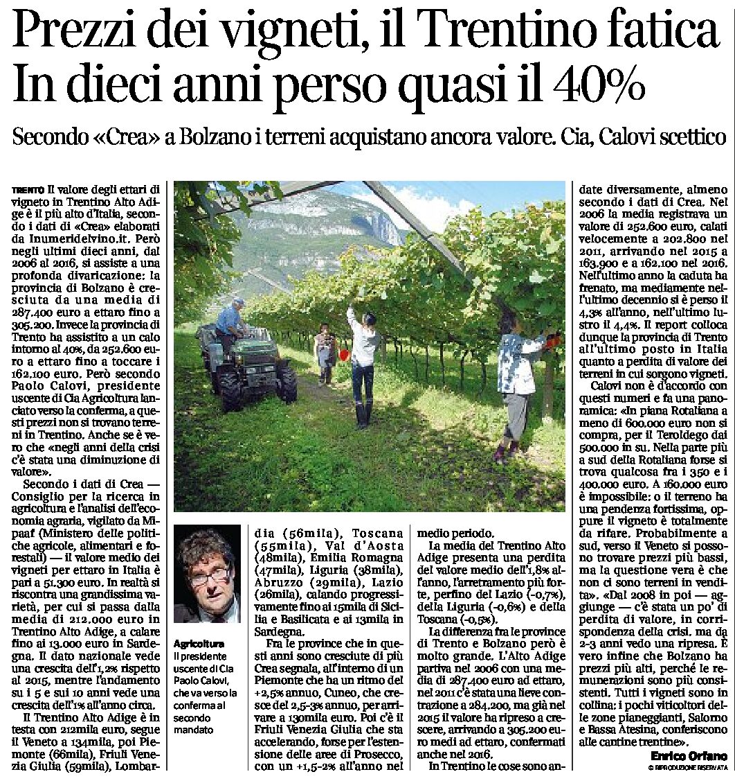 Prezzi dei vigneti: il Trentino fatica. In dieci anni perso quasi il 40%
