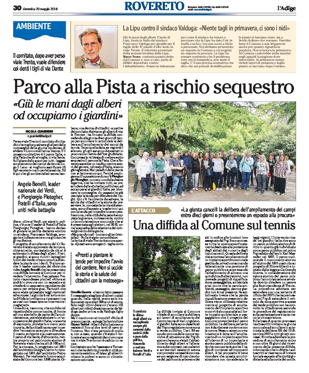 Rovereto: il Comitato ora difende i tigli del Parco alla Pista, in via Dante