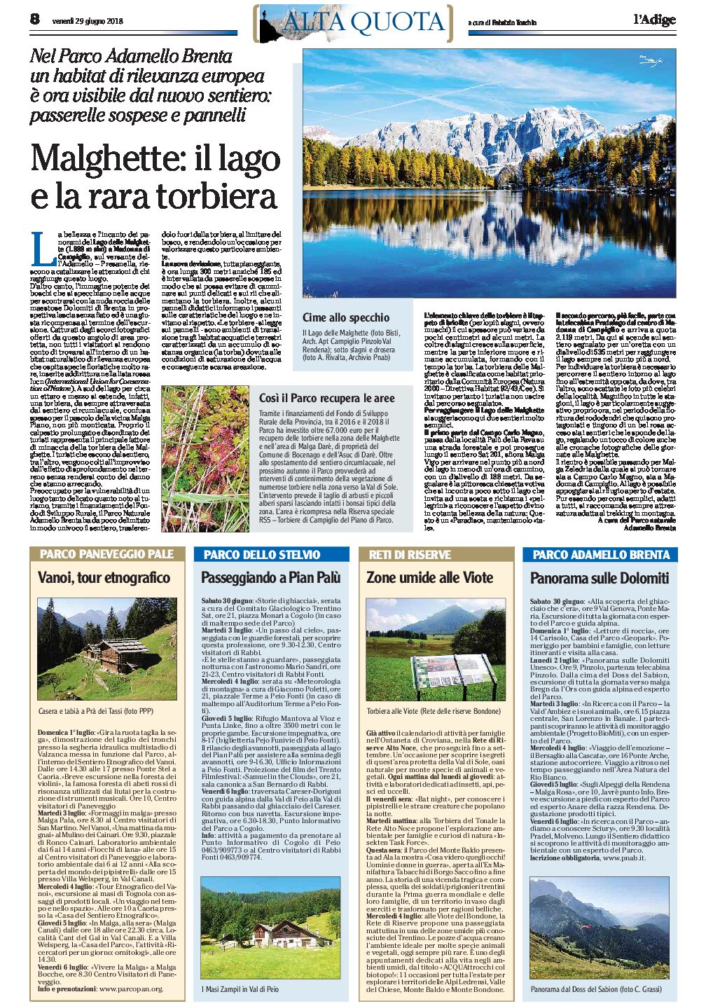 Parco Adamello Brenta: sentieri e passerelle sul lago delle Malghette per salvare la rara torbiera