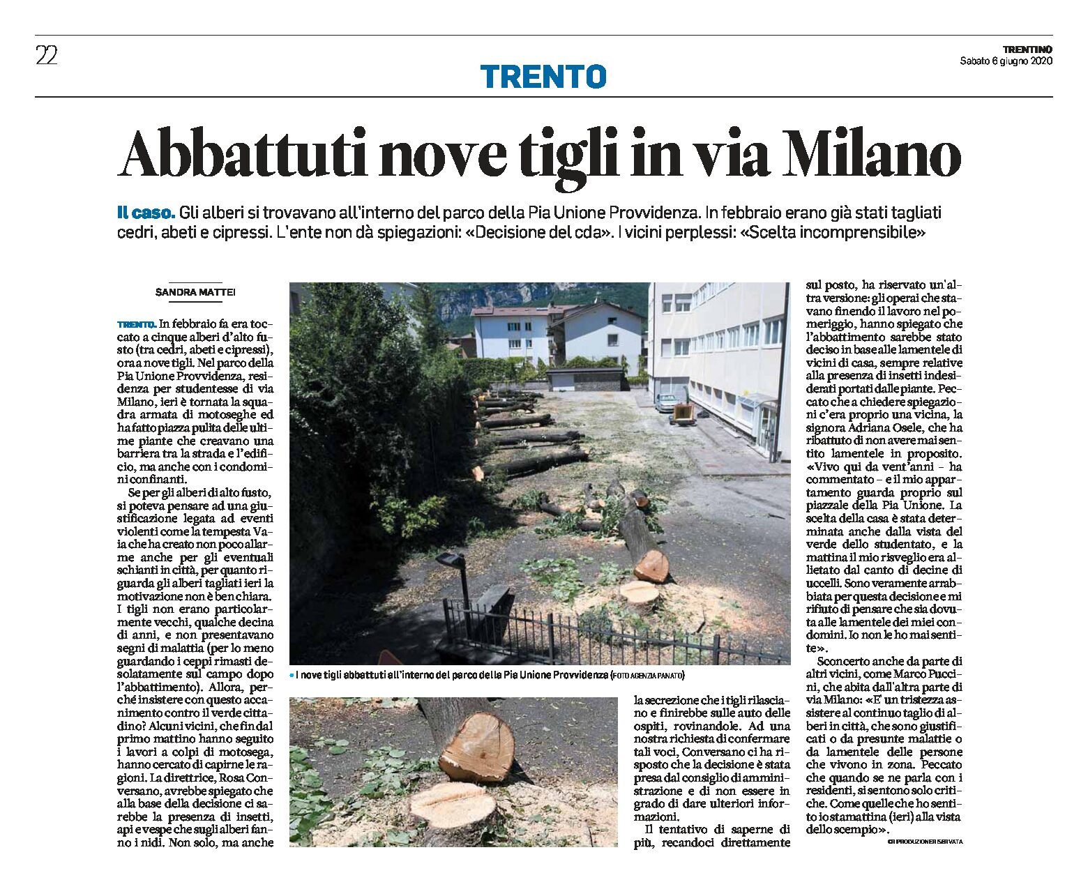 Trento, via Milano: abbattuti nove tigli