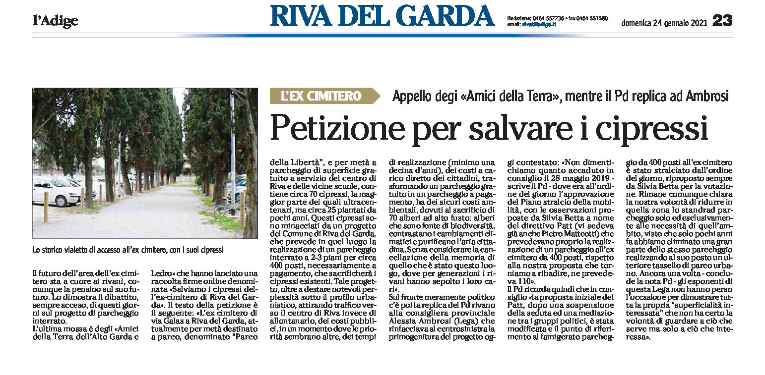 Riva, ex cimitero: petizione per salvare i cipressi