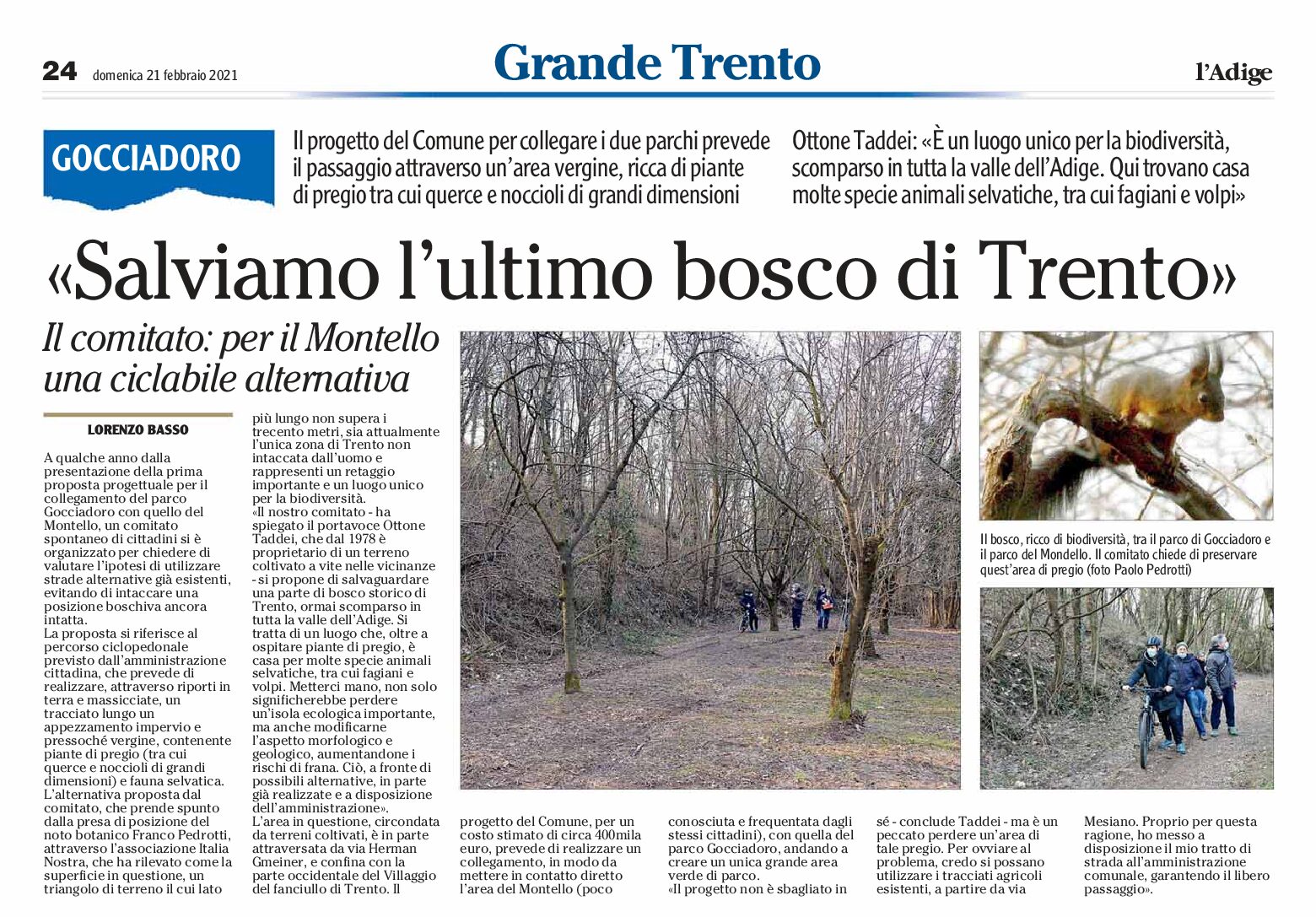 Trento, Gocciadoro: salviamo l’ultimo bosco della città