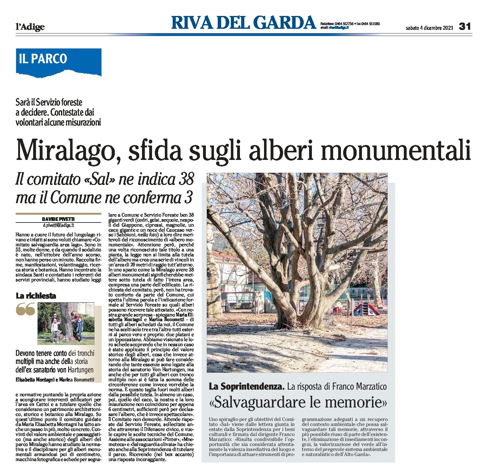Riva, parco Miralago: sfida sugli alberi monumentali tra Comitato Sal e Comune
