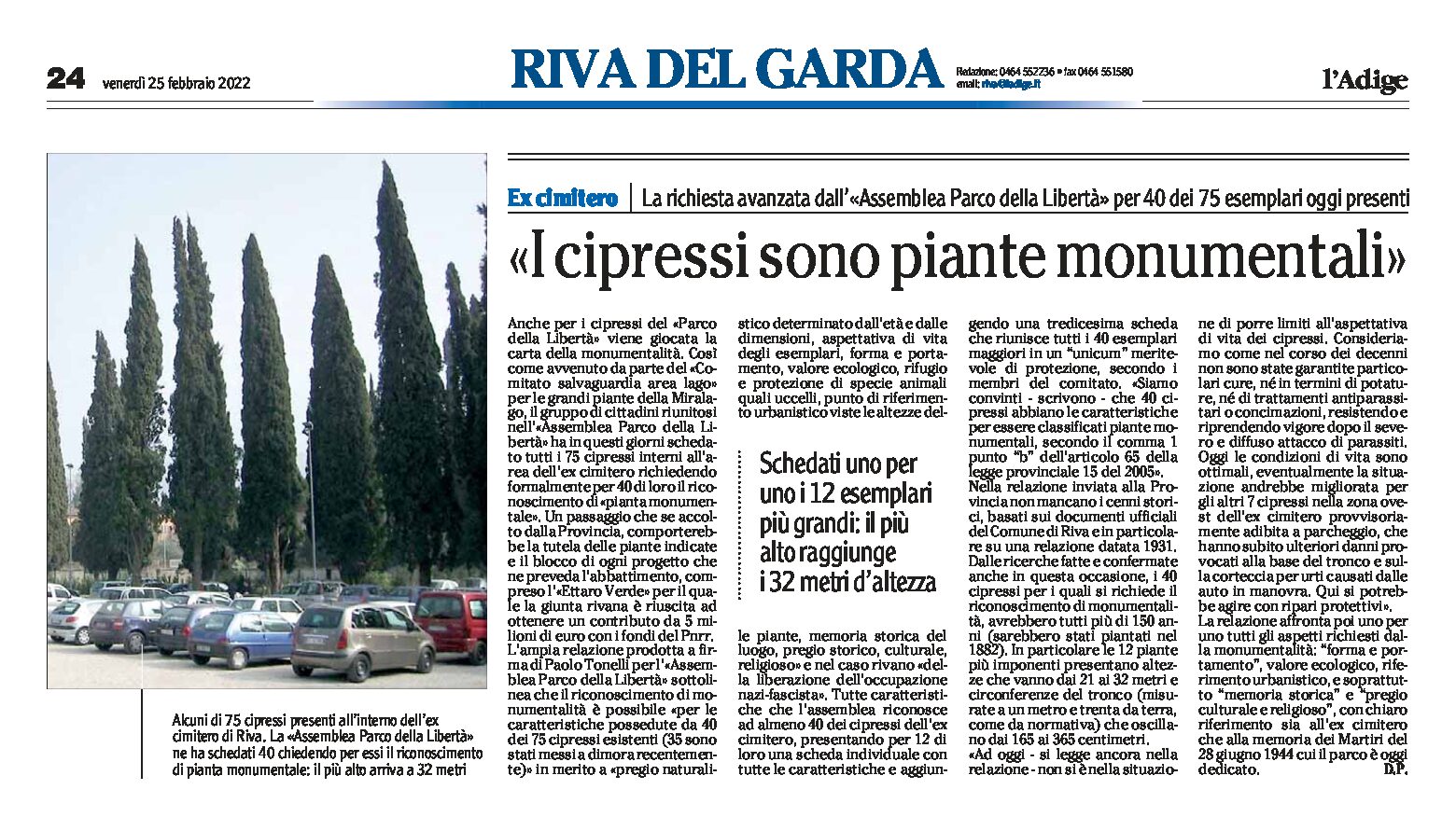 Riva, ex cimitero: i cipressi sono piante monumentali