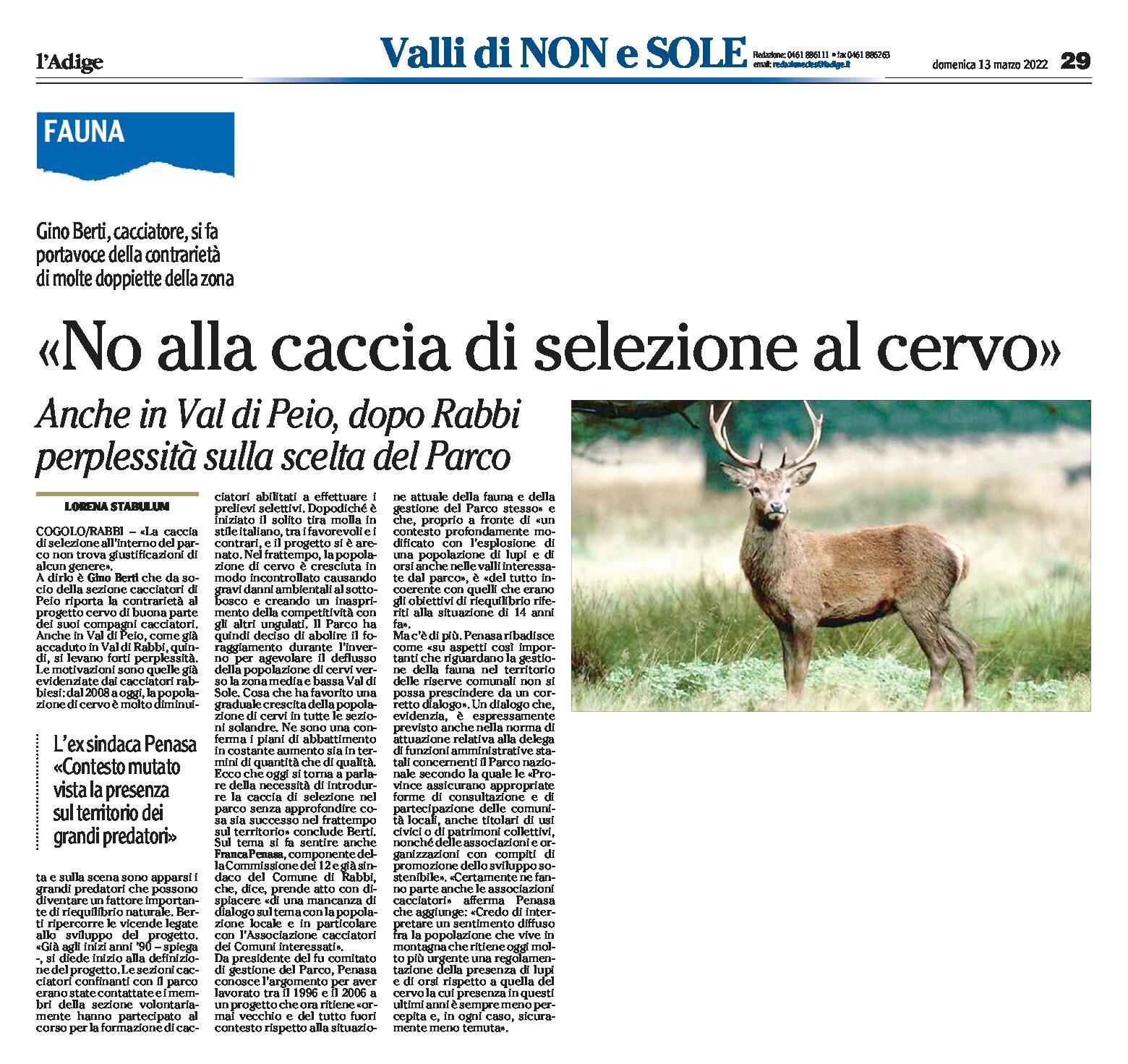 Stelvio, fauna: no alla caccia di selezione al cervo. Perplessità sulla scelta del Parco